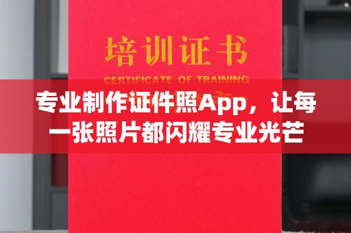 东丽专业制作证件照App，让每一张照片都闪耀专业光芒