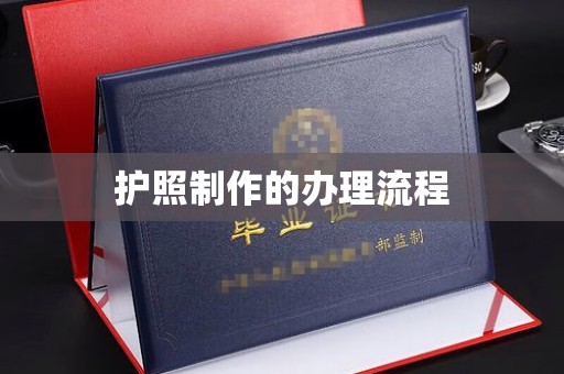 和政护照制作的办理流程