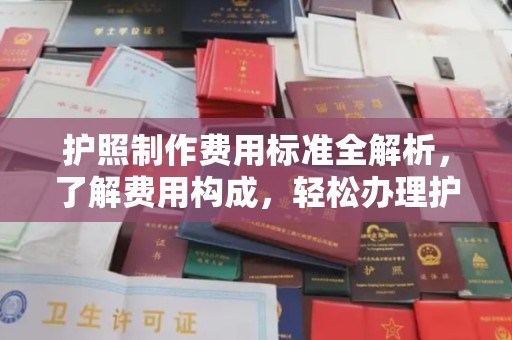 路南护照制作费用标准全解析，了解费用构成，轻松办理护照